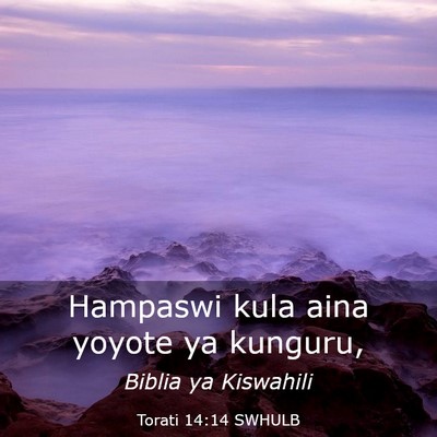 Picture 03 - Torati 14:14 SWHULB - Hampaswi kula aina yoyote ya - Bible Verse Picture