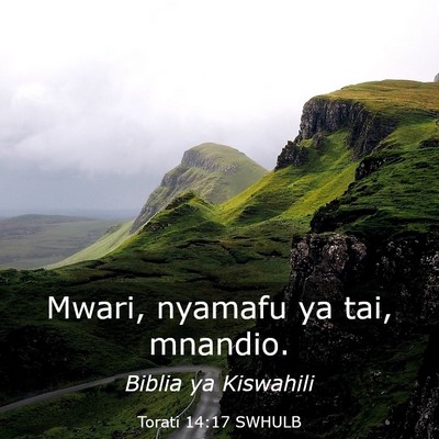 Picture 03 - Torati 14:17 SWHULB - Mwari, nyamafu ya tai, - Bible Verse Picture