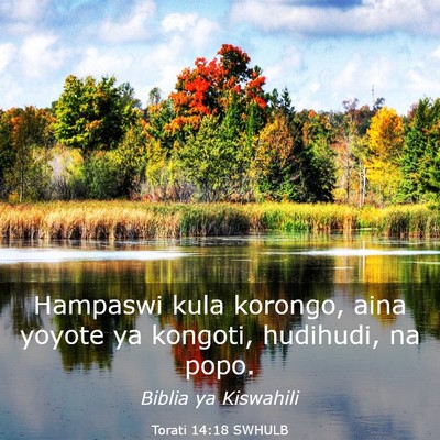 Picture 03 - Torati 14:18 SWHULB - Hampaswi kula korongo, aina yoyote ya kongoti, - Bible Verse Picture