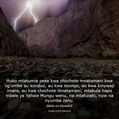 Picture 03 - Torati 14:26 SWHULB - Huko mtatumia pesa kwa chochote mnatamani kwa - Bible Verse Picture