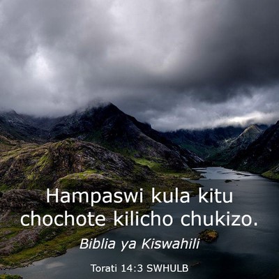 Picture 03 - Torati 14:3 SWHULB - Hampaswi kula kitu chochote kilicho - Bible Verse Picture