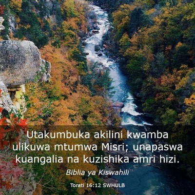Picture 03 - Torati 16:12 SWHULB - Utakumbuka akilini kwamba ulikuwa mtumwa Misri; - Bible Verse Picture