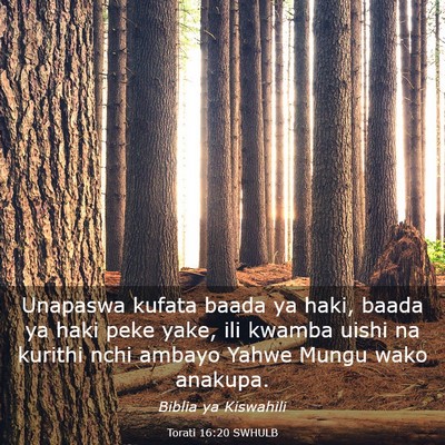 Picture 03 - Torati 16:20 SWHULB - Unapaswa kufata baada ya haki, baada ya haki peke - Bible Verse Picture