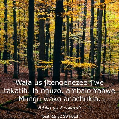 Picture 03 - Torati 16:22 SWHULB - Wala usijitengenezee jiwe takatifu la nguzo, - Bible Verse Picture