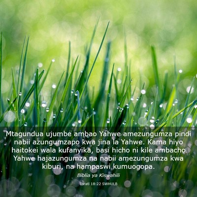 Picture 03 - Torati 18:22 SWHULB - Mtagundua ujumbe ambao Yahwe amezungumza pindi - Bible Verse Picture