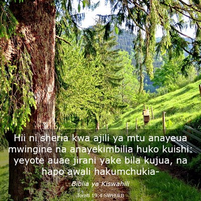 Picture 03 - Torati 19:4 SWHULB - Hii ni sheria kwa ajili ya mtu anayeua mwingine - Bible Verse Picture