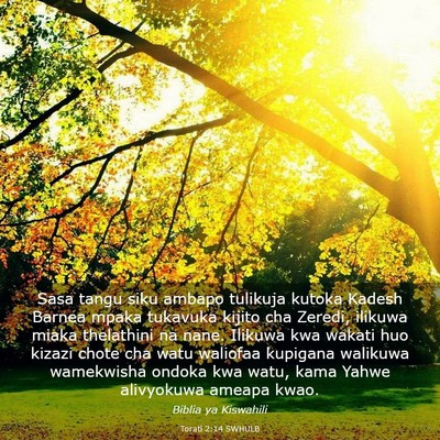 Picture 03 - Torati 2:14 SWHULB - Sasa tangu siku ambapo tulikuja kutoka Kadesh - Bible Verse Picture