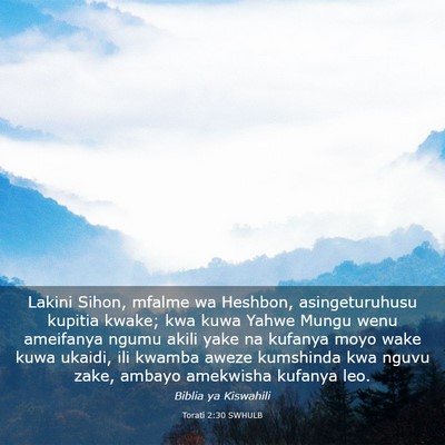Picture 03 - Torati 2:30 SWHULB - Lakini Sihon, mfalme wa Heshbon, asingeturuhusu - Bible Verse Picture