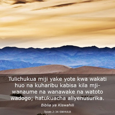 Picture 03 - Torati 2:34 SWHULB - Tulichukua miji yake yote kwa wakati huo na - Bible Verse Picture
