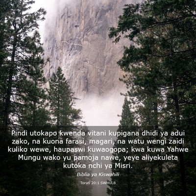 Picture 03 - Torati 20:1 SWHULB - Pindi utokapo kwenda vitani kupigana dhidi ya - Bible Verse Picture