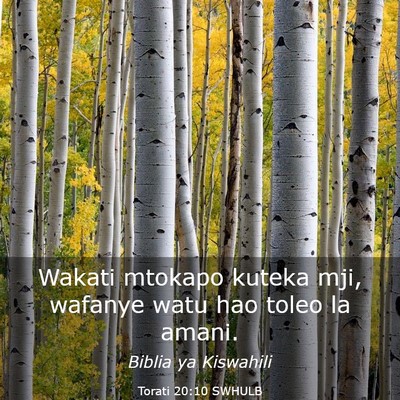 Picture 03 - Torati 20:10 SWHULB - Wakati mtokapo kuteka mji, wafanye watu hao toleo - Bible Verse Picture