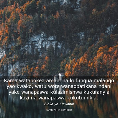 Picture 03 - Torati 20:11 SWHULB - Kama watapokea amani na kufungua malango yao - Bible Verse Picture