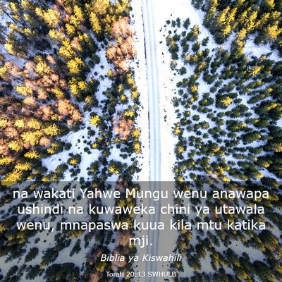 Picture 03 - Torati 20:13 SWHULB - na wakati Yahwe Mungu wenu anawapa ushindi na - Bible Verse Picture