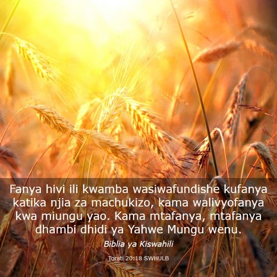 Picture 03 - Torati 20:18 SWHULB - Fanya hivi ili kwamba wasiwafundishe kufanya - Bible Verse Picture