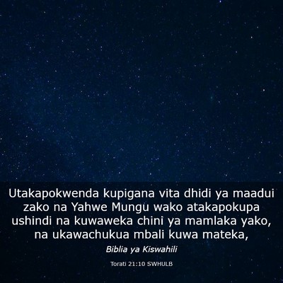 Picture 03 - Torati 21:10 SWHULB - Utakapokwenda kupigana vita dhidi ya maadui zako - Bible Verse Picture