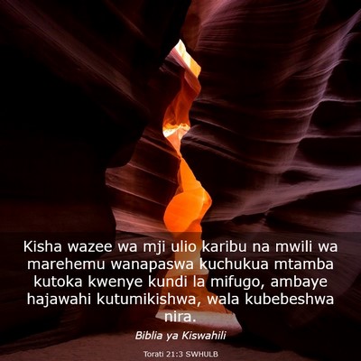 Picture 03 - Torati 21:3 SWHULB - Kisha wazee wa mji ulio karibu na mwili wa - Bible Verse Picture