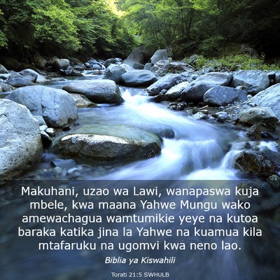 Picture 03 - Torati 21:5 SWHULB - Makuhani, uzao wa Lawi, wanapaswa kuja mbele, kwa - Bible Verse Picture