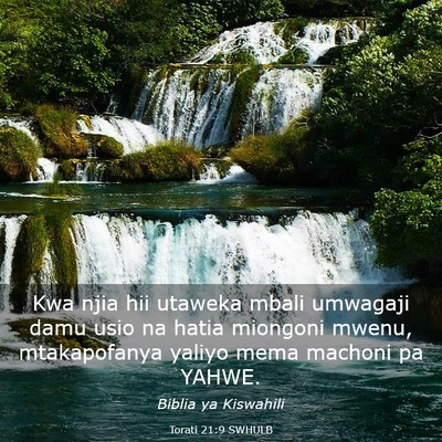 Picture 03 - Torati 21:9 SWHULB - Kwa njia hii utaweka mbali umwagaji damu usio na - Bible Verse Picture