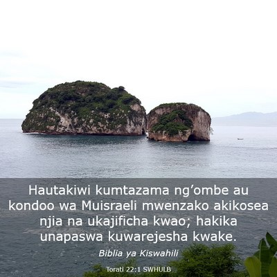 Picture 03 - Torati 22:1 SWHULB - Hautakiwi kumtazama ng’ombe au kondoo wa - Bible Verse Picture