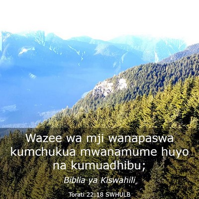 Picture 03 - Torati 22:18 SWHULB - Wazee wa mji wanapaswa kumchukua mwanamume huyo - Bible Verse Picture