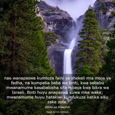 Picture 03 - Torati 22:19 SWHULB - nao wanapaswa kumtoza faini ya shekeli mia moja - Bible Verse Picture