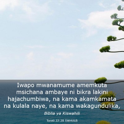 Picture 03 - Torati 22:28 SWHULB - Iwapo mwanamume amemkuta msichana ambaye ni bikra - Bible Verse Picture
