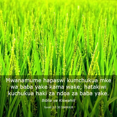 Picture 03 - Torati 22:30 SWHULB - Mwanamume hapaswi kumchukua mke wa baba yake kama - Bible Verse Picture