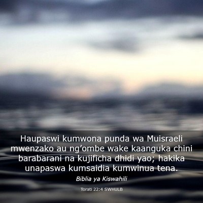 Picture 03 - Torati 22:4 SWHULB - Haupaswi kumwona punda wa Muisraeli mwenzako au - Bible Verse Picture