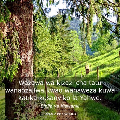 Picture 03 - Torati 23:8 SWHULB - Wazawa wa kizazi cha tatu wanaozaliwa kwao - Bible Verse Picture