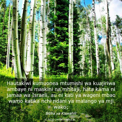 Picture 03 - Torati 24:14 SWHULB - Hautakiwi kumuonea mtumishi wa kuajiriwa ambaye - Bible Verse Picture