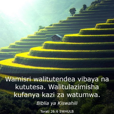 Picture 03 - Torati 26:6 SWHULB - Wamisri walitutendea vibaya na kututesa. - Bible Verse Picture