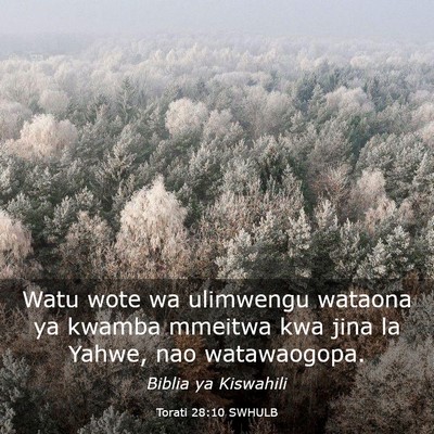 Picture 03 - Torati 28:10 SWHULB - Watu wote wa ulimwengu wataona ya kwamba mmeitwa - Bible Verse Picture