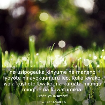Picture 03 - Torati 28:14 SWHULB - na usipogeuka kinyume na maneno yoyote - Bible Verse Picture