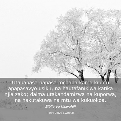Picture 03 - Torati 28:29 SWHULB - Utapapasa papasa mchana kama kipofu apapasavyo - Bible Verse Picture