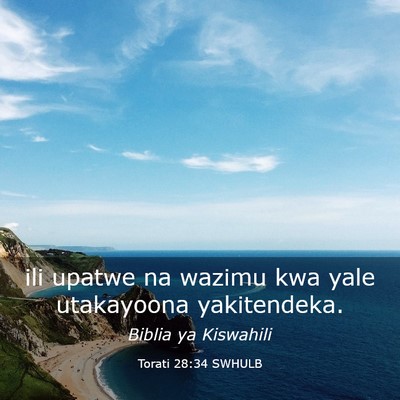 Picture 03 - Torati 28:34 SWHULB - ili upatwe na wazimu kwa yale utakayoona - Bible Verse Picture