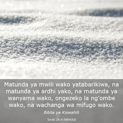 Picture 03 - Torati 28:4 SWHULB - Matunda ya mwili wako yatabarikiwa, na matunda ya - Bible Verse Picture