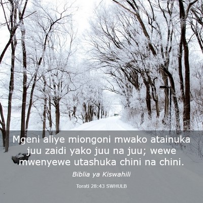 Picture 03 - Torati 28:43 SWHULB - Mgeni aliye miongoni mwako atainuka juu zaidi - Bible Verse Picture