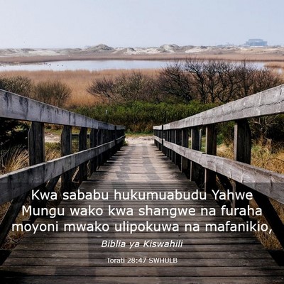 Picture 03 - Torati 28:47 SWHULB - Kwa sababu hukumuabudu Yahwe Mungu wako kwa - Bible Verse Picture