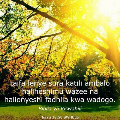 Picture 03 - Torati 28:50 SWHULB - taifa lenye sura katili ambalo haliheshimu wazee - Bible Verse Picture