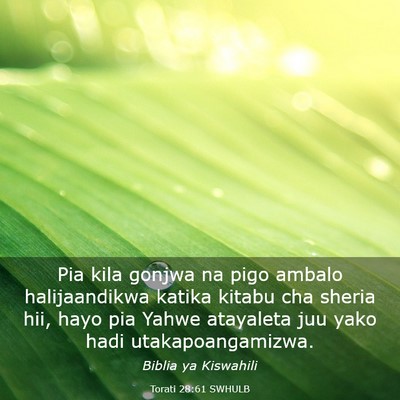 Picture 03 - Torati 28:61 SWHULB - Pia kila gonjwa na pigo ambalo halijaandikwa - Bible Verse Picture
