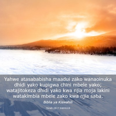 Picture 03 - Torati 28:7 SWHULB - Yahwe atasababisha maadui zako wanaoinuka dhidi - Bible Verse Picture