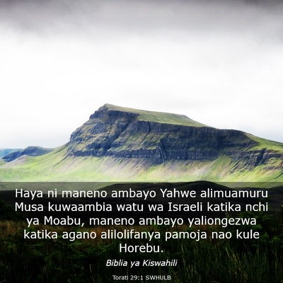 Picture 03 - Torati 29:1 SWHULB - Haya ni maneno ambayo Yahwe alimuamuru Musa - Bible Verse Picture