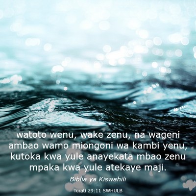 Picture 03 - Torati 29:11 SWHULB - watoto wenu, wake zenu, na wageni ambao wamo - Bible Verse Picture