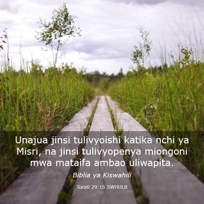 Picture 03 - Torati 29:16 SWHULB - Unajua jinsi tulivyoishi katika nchi ya Misri, na - Bible Verse Picture
