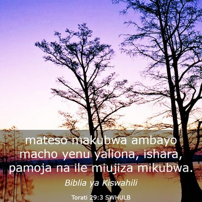 Picture 03 - Torati 29:3 SWHULB - mateso makubwa ambayo macho yenu yaliona, ishara, - Bible Verse Picture