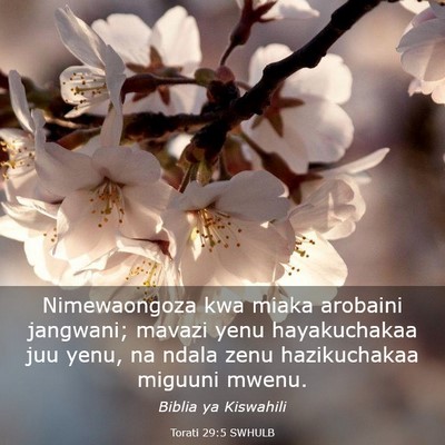 Picture 03 - Torati 29:5 SWHULB - Nimewaongoza kwa miaka arobaini jangwani; mavazi - Bible Verse Picture