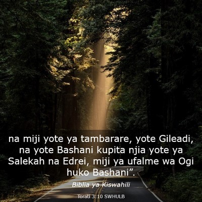 Picture 03 - Torati 3:10 SWHULB - na miji yote ya tambarare, yote Gileadi, na yote - Bible Verse Picture