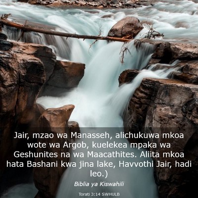 Picture 03 - Torati 3:14 SWHULB - Jair, mzao wa Manasseh, alichukuwa mkoa wote wa - Bible Verse Picture