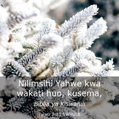 Picture 03 - Torati 3:23 SWHULB - Nilimsihi Yahwe kwa wakati huo, - Bible Verse Picture