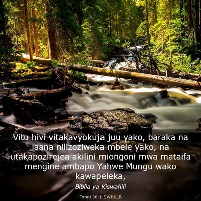 Picture 03 - Torati 30:1 SWHULB - Vitu hivi vitakavyokuja juu yako, baraka na laana - Bible Verse Picture